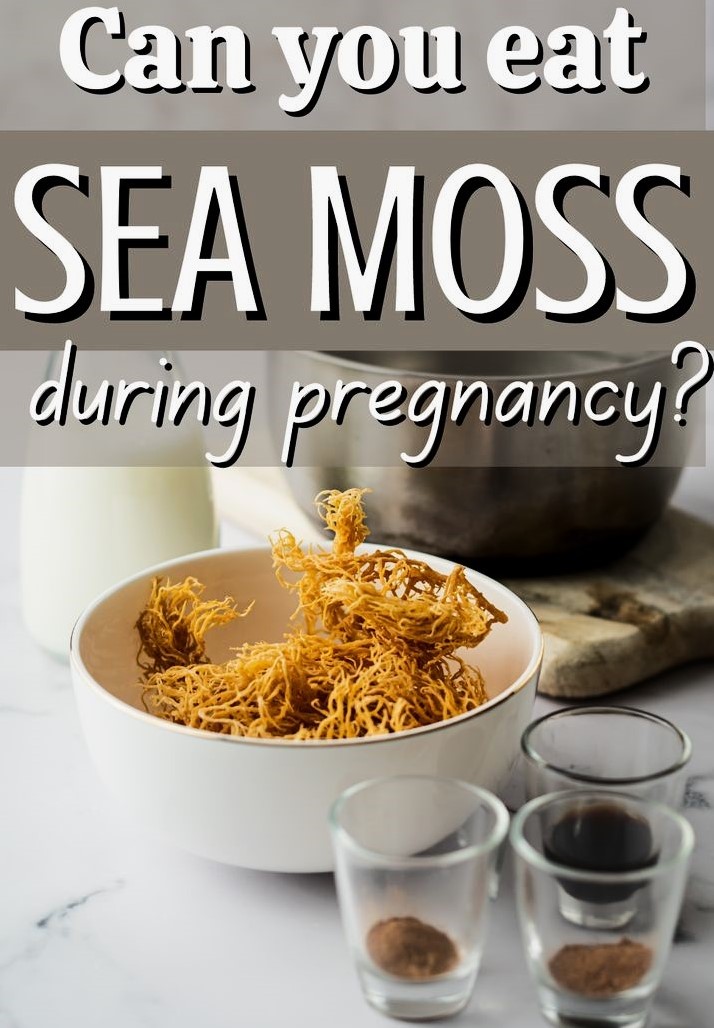 lechatrougesf, Is Sea Moss Safe During Pregnancy? Essential Facts!